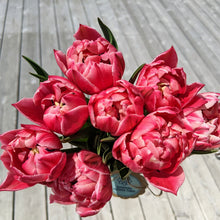 Load image into Gallery viewer, Specialty Tulip Bunches
