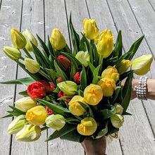 Load image into Gallery viewer, Specialty Tulip Bunches
